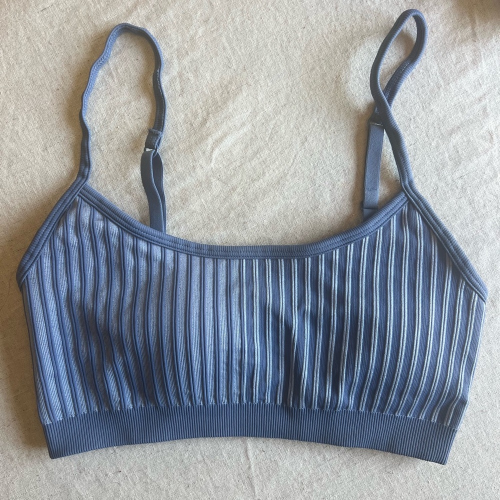 Aerie Blue Striped Bra